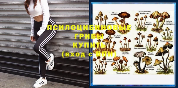 кокаин Бородино