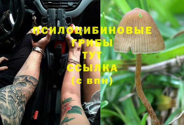 трава Бронницы