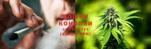 трава Бронницы