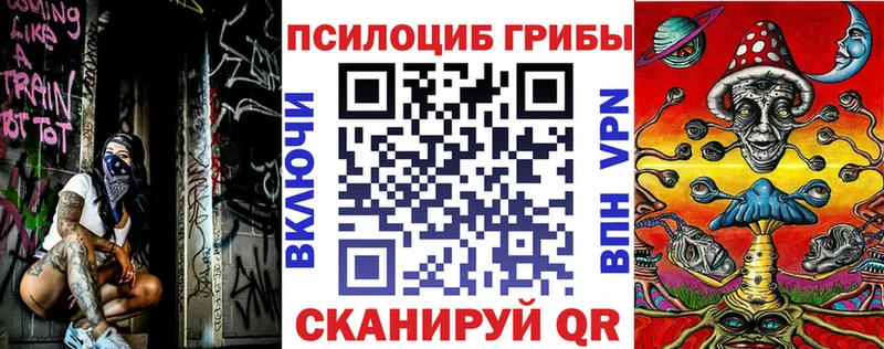 Псилоцибиновые грибы мицелий Купить Кинешма